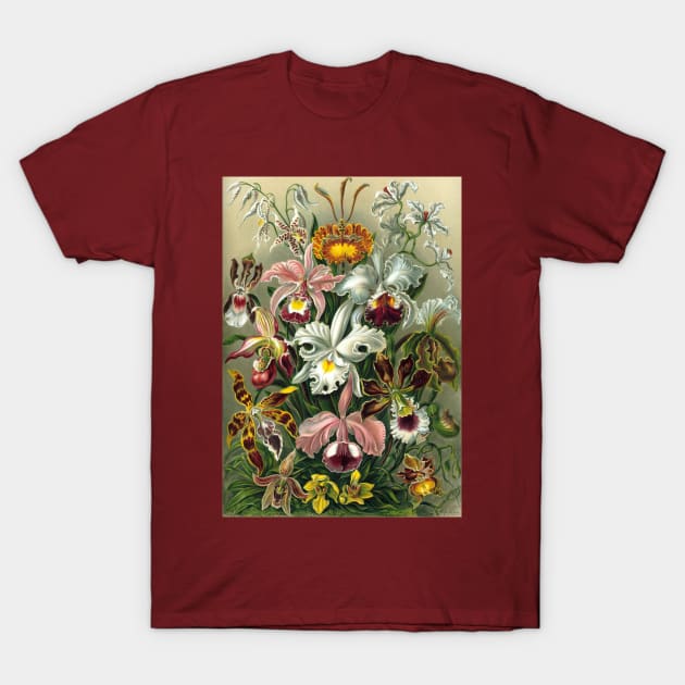 Orchids by Ernst Haeckel T-Shirt by MasterpieceCafe